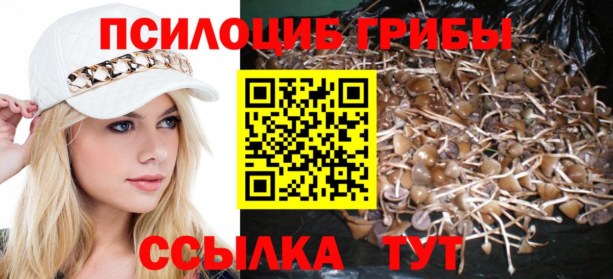 Старая Купавна  Псилоцибиновые грибы Magic Shrooms  Вход с VPN 
